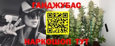 стафф Камышлов