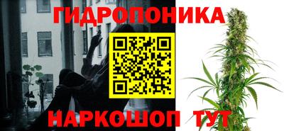 стафф Камышлов