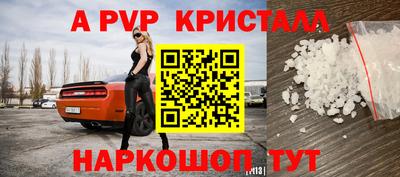 стафф Камышлов