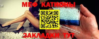 стафф Камышлов