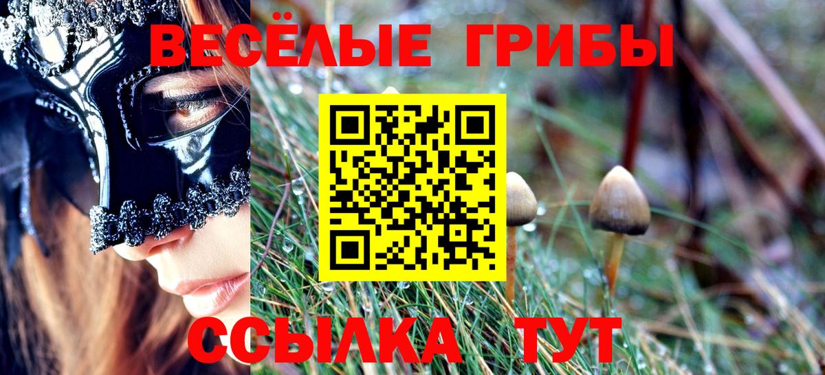 Галлюциногенные грибы Psilocybine cubensis  Галлюциногенные грибы Psilocybe  Краснознаменск  Вход с VPN 