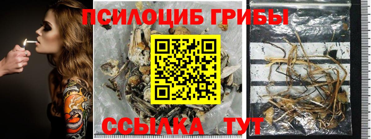 Псилоцибиновые грибы GOLDEN TEACHER Краснознаменск
